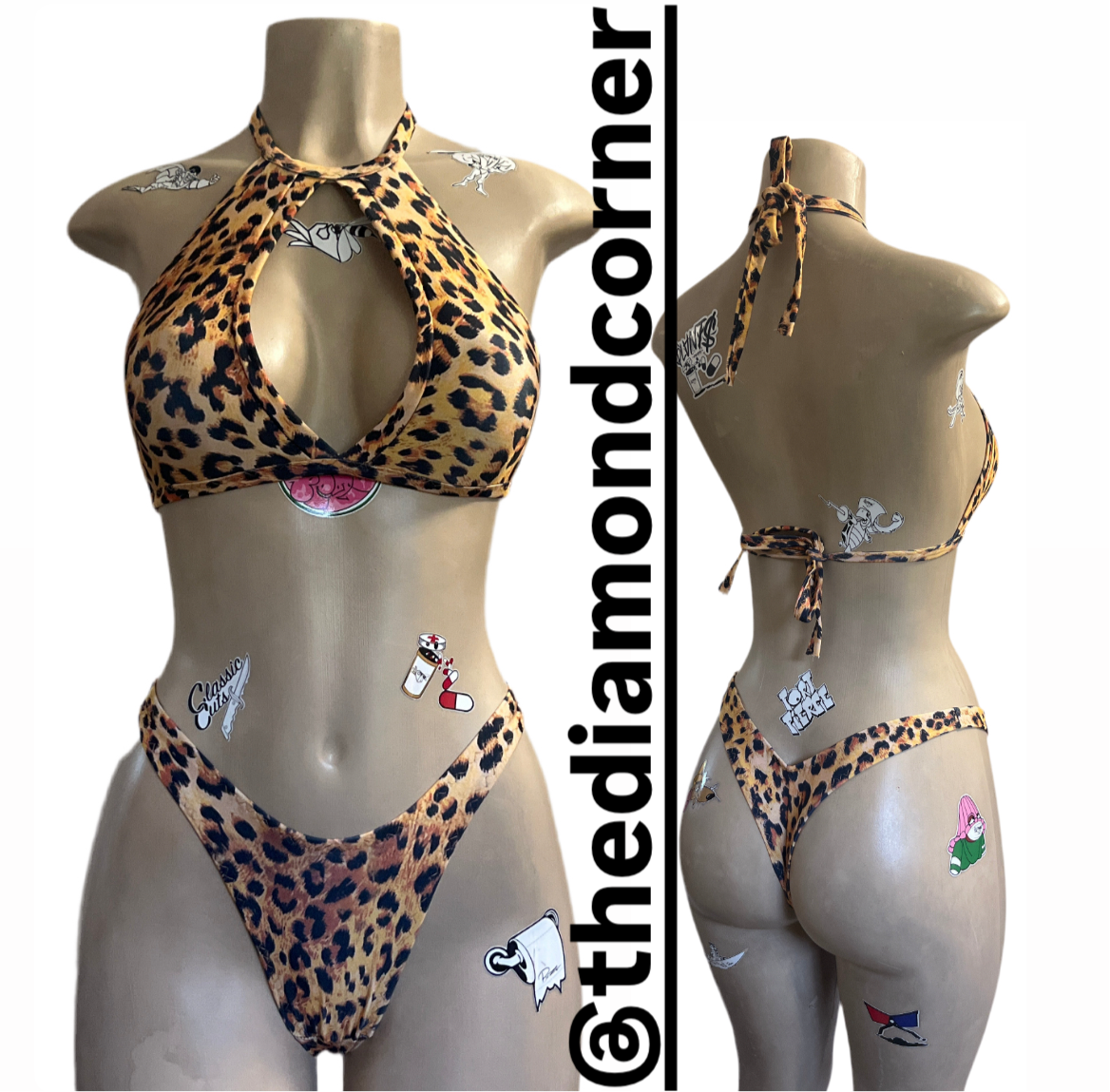 Cheetah 2.0