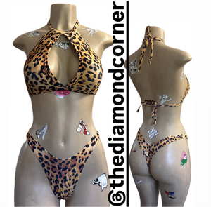 Cheetah 2.0