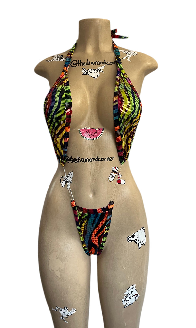 Zebra